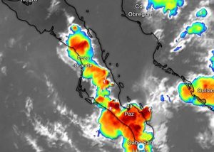 WhatsApp Image 2025-08-28 at 6.28.06 p.m.